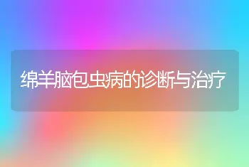 绵羊脑包虫病的诊断与治疗