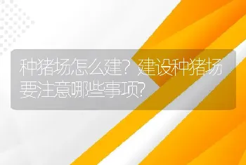 种猪场怎么建？建设种猪场要注意哪些事项?