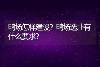 鸭场怎样建设？鸭场选址有什么要求？