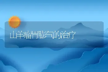 鱼塘开挖清淤机械的选用