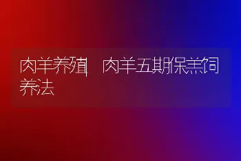 肉羊养殖|肉羊五期保羔饲养法