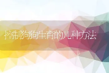 控制狗狗生育的几种方法