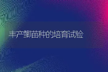 丰产鲫苗种的培育试验