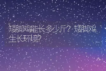 矮脚鸡能长多少斤？矮脚鸡生长环境？