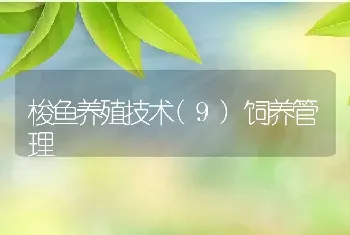 梭鱼养殖技术(9)饲养管理