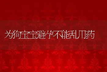 为狗宝宝避孕不能乱用药