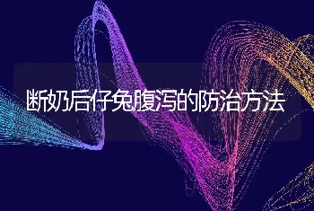 断奶后仔兔腹泻的防治方法