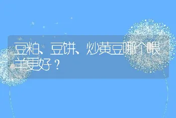 豆粕、豆饼、炒黄豆哪个喂羊更好？