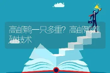 高邮鸭一只多重？高邮鸭养殖技术