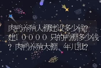 肉鸭养殖大棚建设多少钱？建10000只的鸭棚多少钱？肉鸭养殖大棚一年几批？