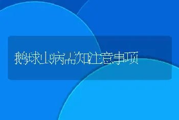 鹅球虫病需知注意事项