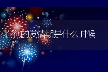 狗狗的发情期是什么时候