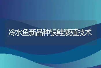 冷水鱼新品种银鲑繁殖技术