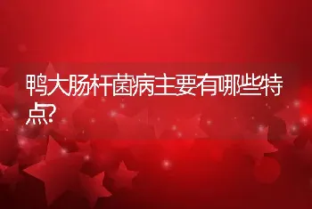 鸭大肠杆菌病主要有哪些特点?