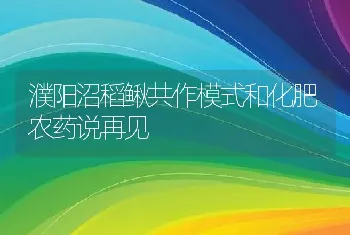 濮阳沼稻鳅共作模式和化肥农药说再见