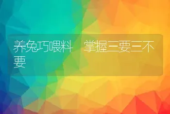 养兔巧喂料 掌握三要三不要