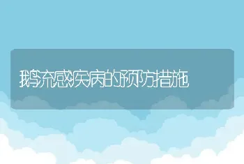 鹅流感疾病的预防措施