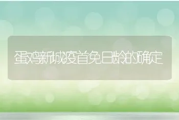 蛋鸡新城疫首免日龄的确定