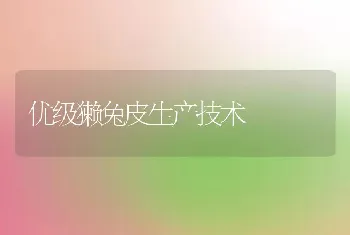 优级獭兔皮生产技术