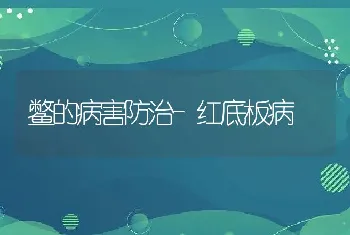 鳖的病害防治-红底板病