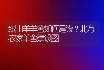 绒山羊羊舍如何建设？北方农家羊舍建设图