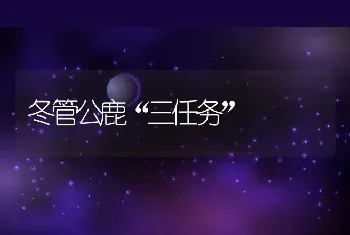 冬管公鹿“三任务”