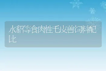 水貂等食肉性毛皮兽饲料配比