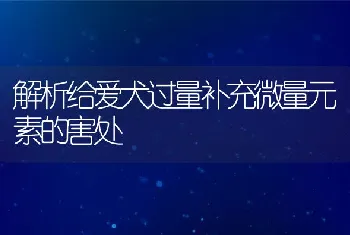 解析给爱犬过量补充微量元素的害处