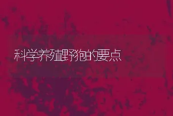 科学养殖野狍的要点