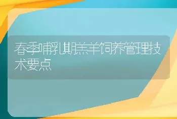 春季哺乳期羔羊饲养管理技术要点