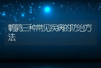 鹌鹑三种常见疾病的防治方法