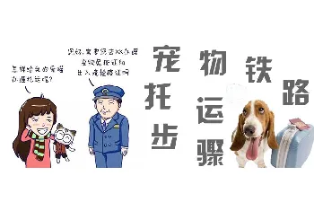 宠物铁路托运步骤