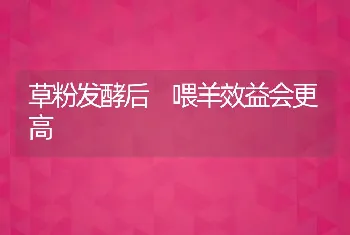 草粉发酵后 喂羊效益会更高