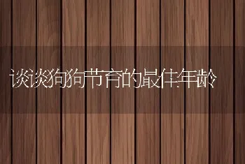 谈谈狗狗节育的最佳年龄