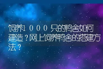 饲养1000只的鸭舍如何建造？网上饲养鸭舍的搭建方法？