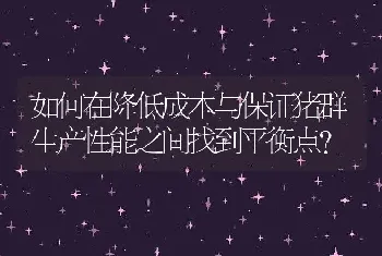 如何在降低成本与保证猪群生产性能之间找到平衡点？