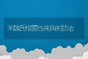 羊魏氏梭菌性疾病的防治