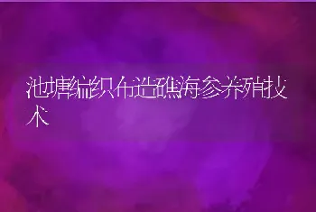 池塘编织布造礁海参养殖技术