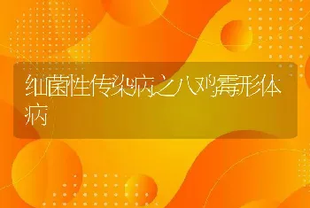 细菌性传染病之八鸡霉形体病