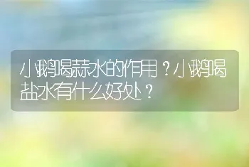 小鹅喝蒜水的作用？小鹅喝盐水有什么好处？