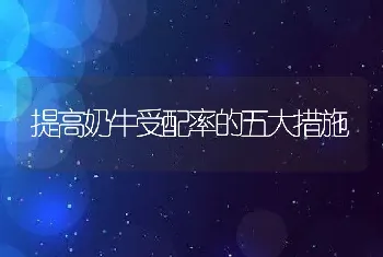 提高奶牛受配率的五大措施