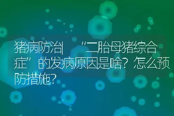 猪病防治|“二胎母猪综合症”的发病原因是啥？怎么预防措施？