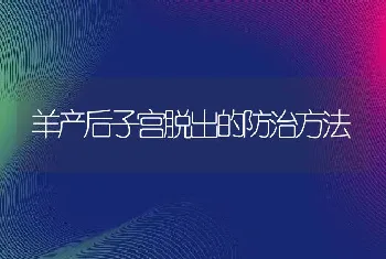 羊产后子宫脱出的防治方法