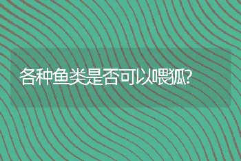 各种鱼类是否可以喂狐?