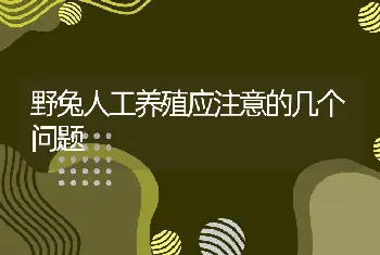 野兔人工养殖应注意的几个问题