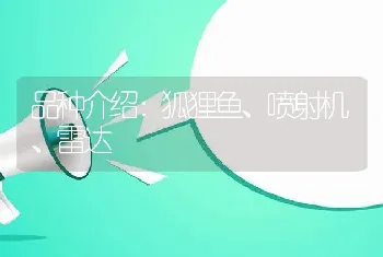 品种介绍：狐狸鱼、喷射机、雷达