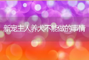 新宠主人养犬不能做的事情