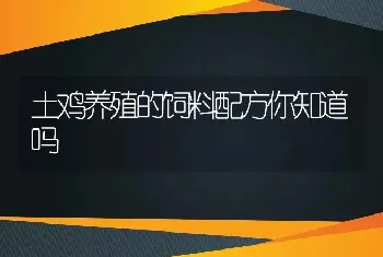 土鸡养殖的饲料配方你知道吗