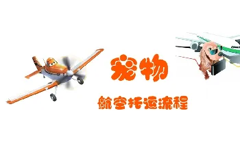 宠物航空托运流程