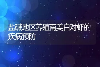 盐碱地区养殖南美白对虾的疾病预防